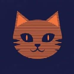 Tejas Patel, Founder @ Whatsmycatbreed