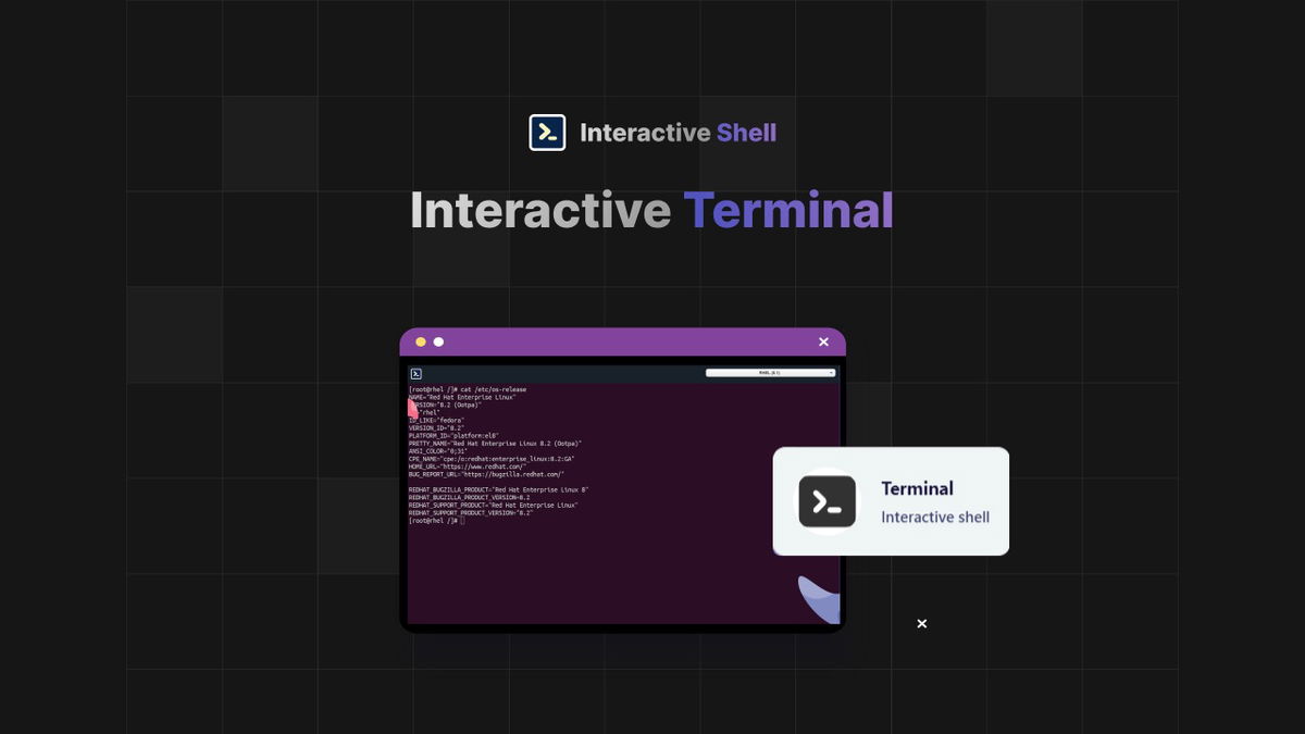 interactive shell screenshot 1