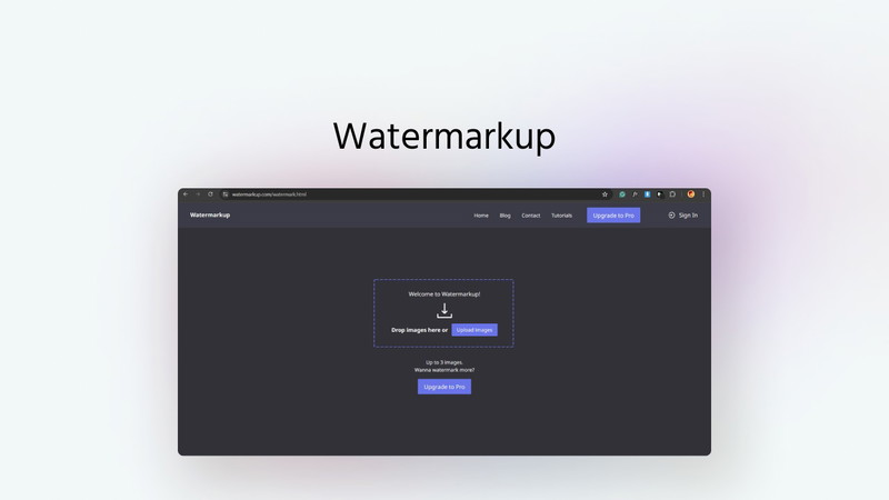 mass watermark tool screenshot 1