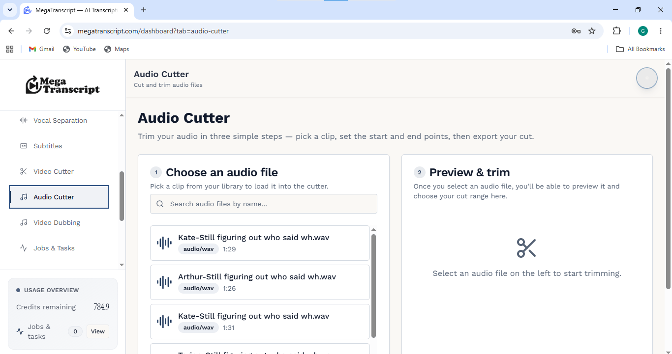 megatranscript screenshot 3