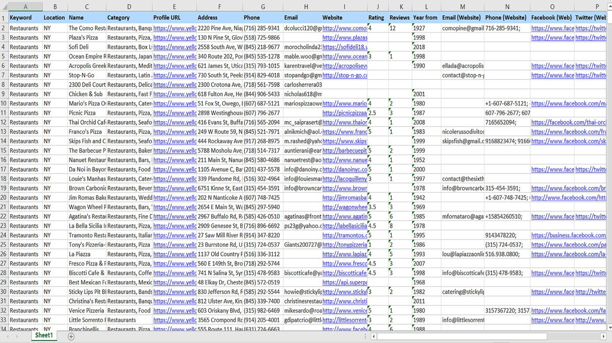 reoon yellow pages scraper screenshot 4