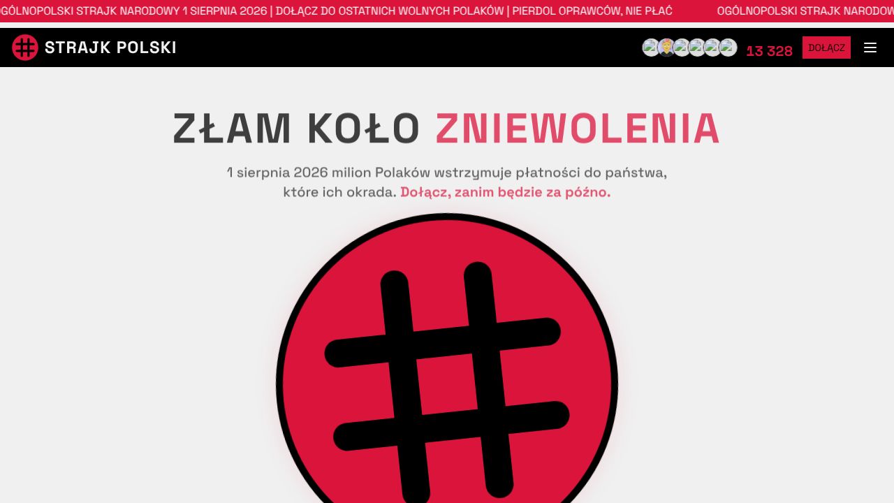 strajkpolski-mcp homepage screenshot