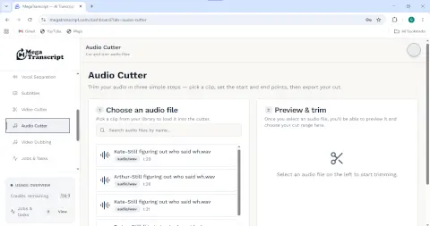megatranscript screenshot 3
